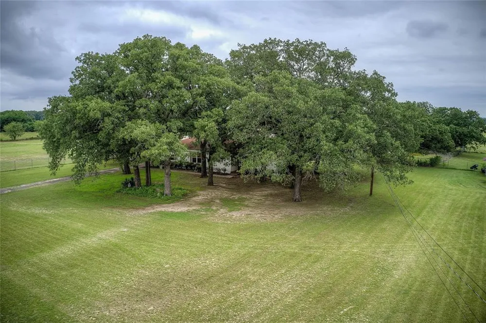 7209 Hackberry Drive Greenville, TX 75402