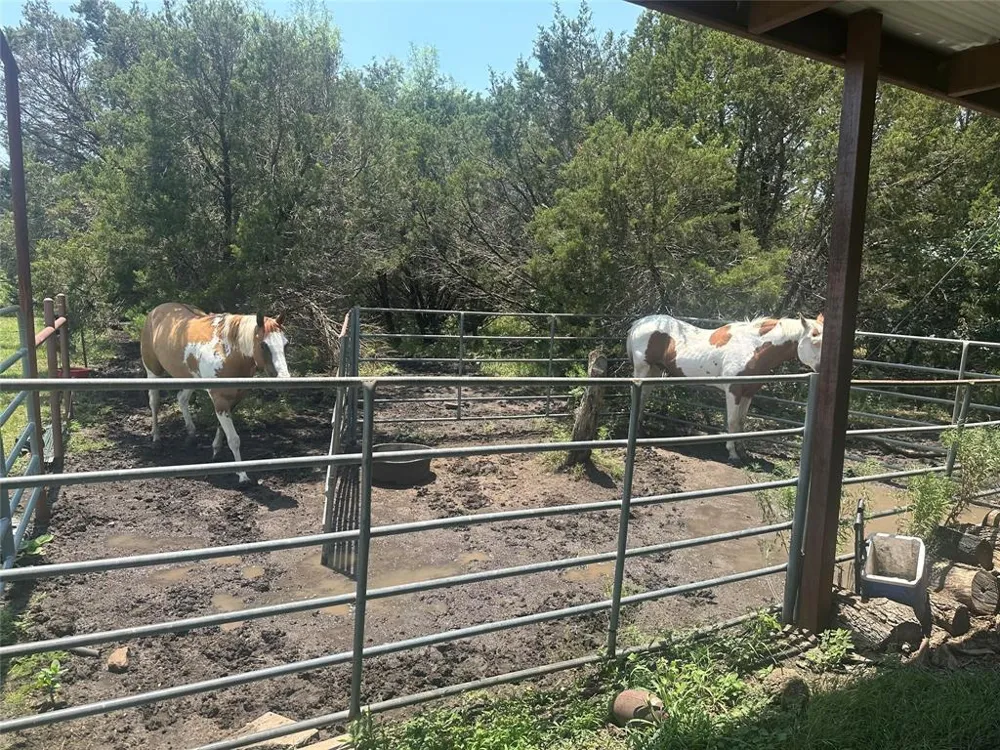 1791 Crawford Lane Graford, TX 76449