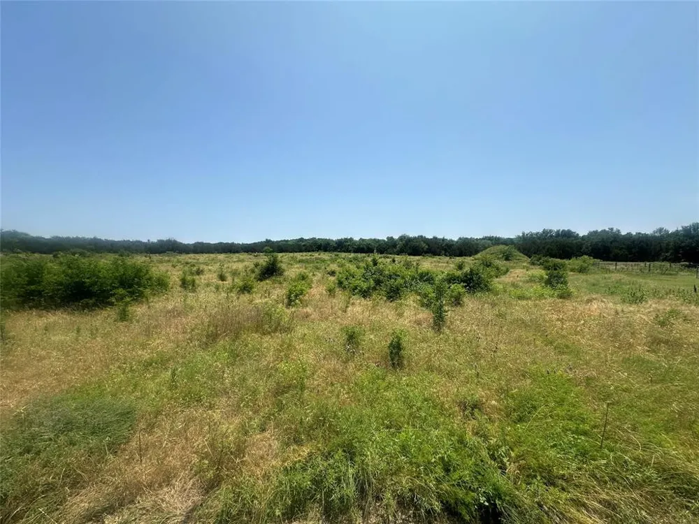 1791 Crawford Lane Graford, TX 76449