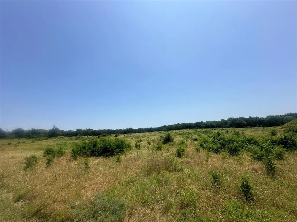1791 Crawford Lane Graford, TX 76449
