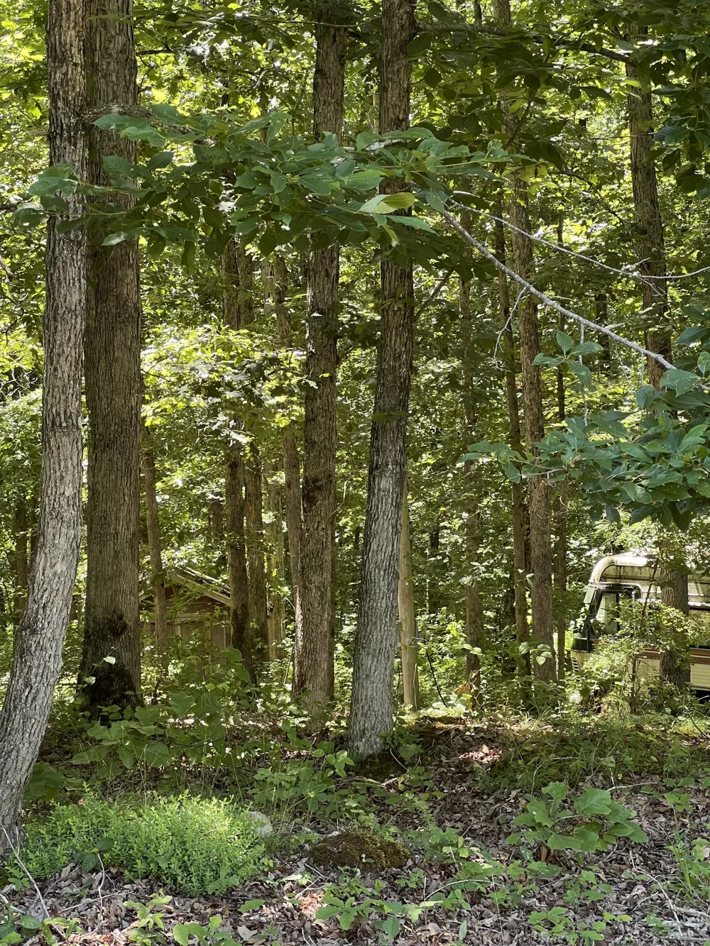 63 Charlsie Ln Stewart, TN 37175
