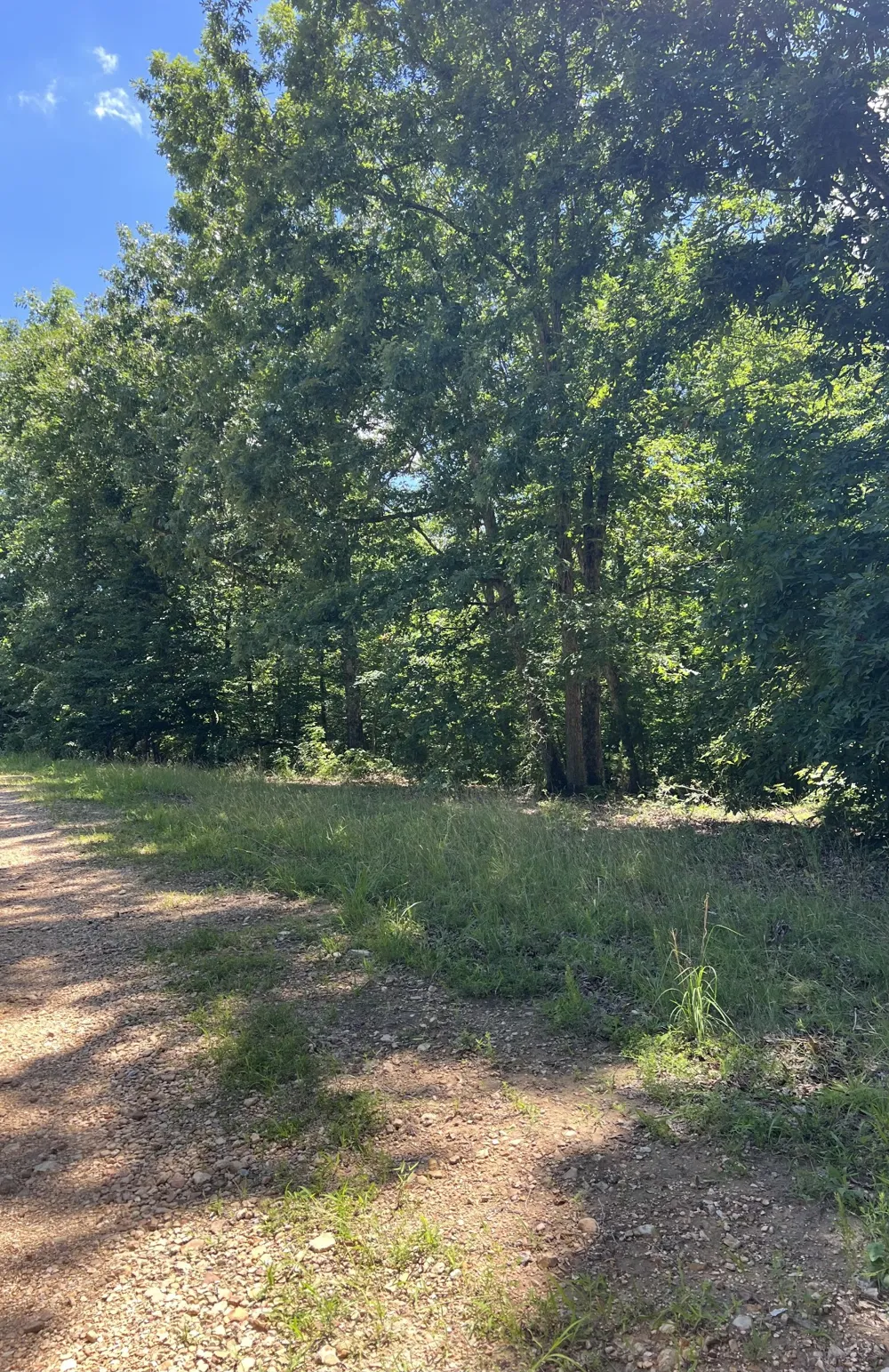 63 Charlsie Ln Stewart, TN 37175