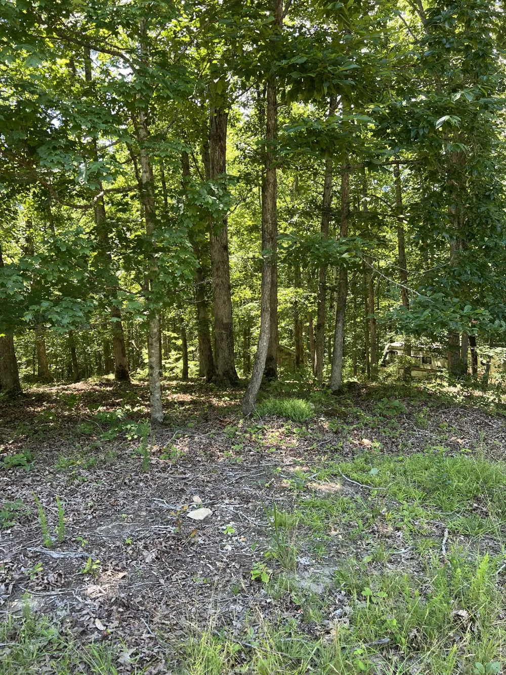 63 Charlsie Ln Stewart, TN 37175
