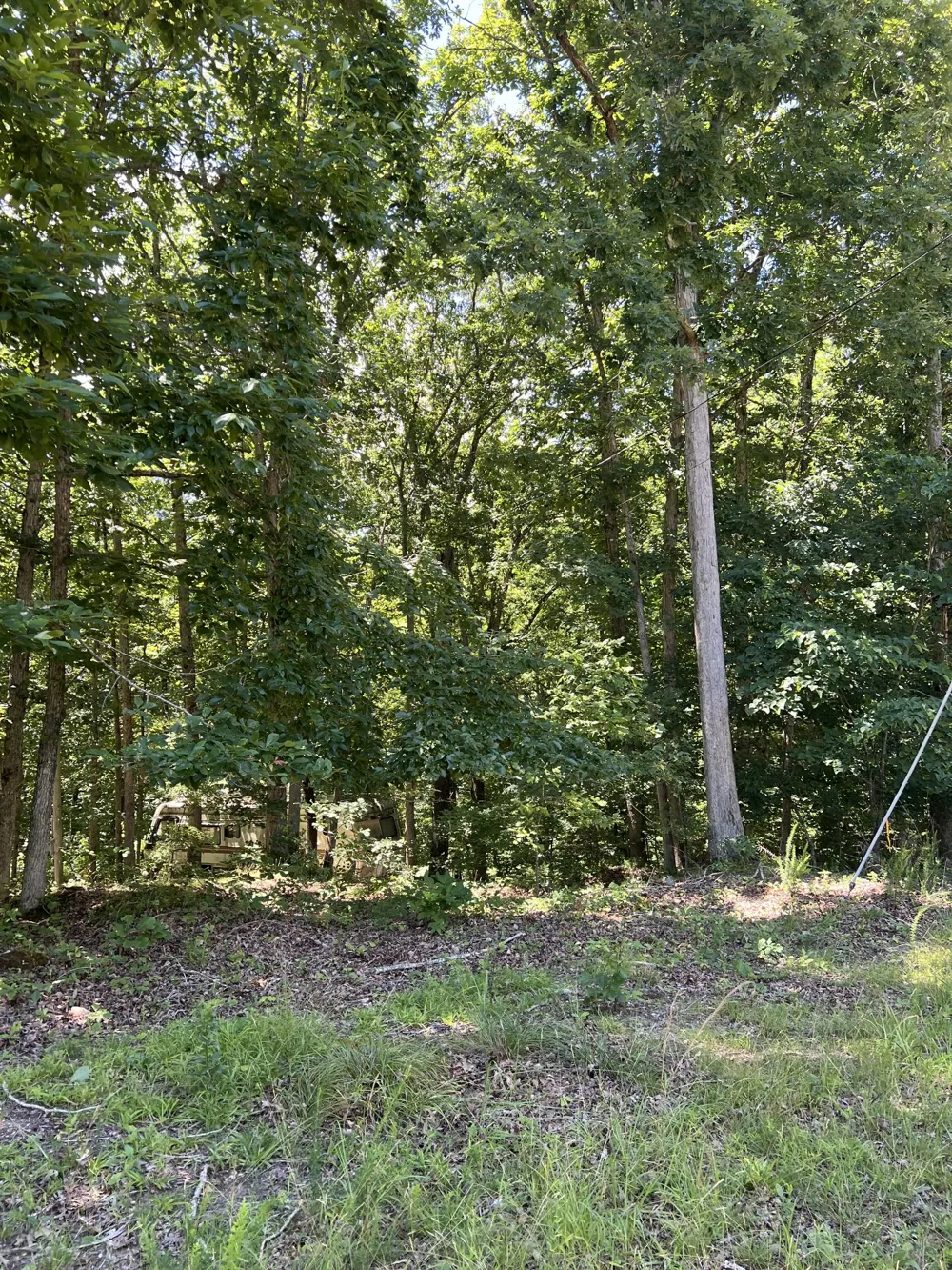 63 Charlsie Ln Stewart, TN 37175