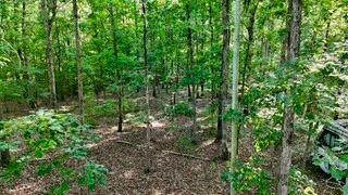 63 Charlsie Ln Stewart, TN 37175