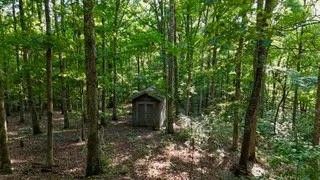 63 Charlsie Ln Stewart, TN 37175
