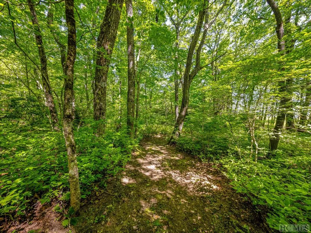 PS 3 Panther Summit Drive Lake Toxaway, NC 28747