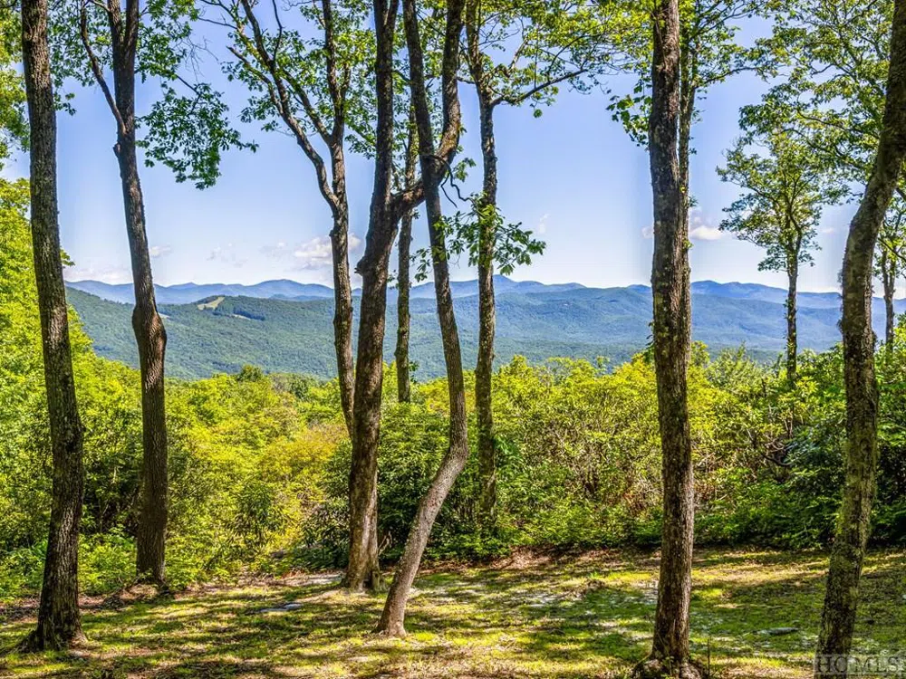 PS 3 Panther Summit Drive Lake Toxaway, NC 28747