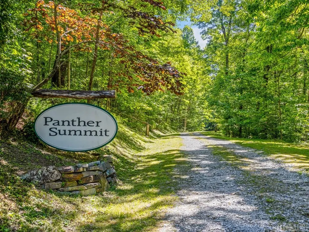 PS 3 Panther Summit Drive Lake Toxaway, NC 28747