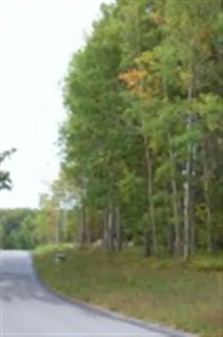 282 Lakeview Trail Torch Lake Township, MI 49648