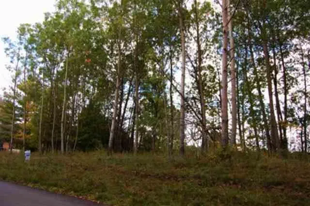 282 Lakeview Trail Torch Lake Township, MI 49648