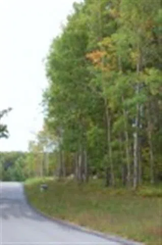282 Lakeview Trail Torch Lake Township, MI 49648