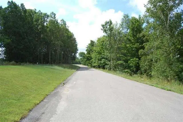 282 Lakeview Trail Torch Lake Township, MI 49648