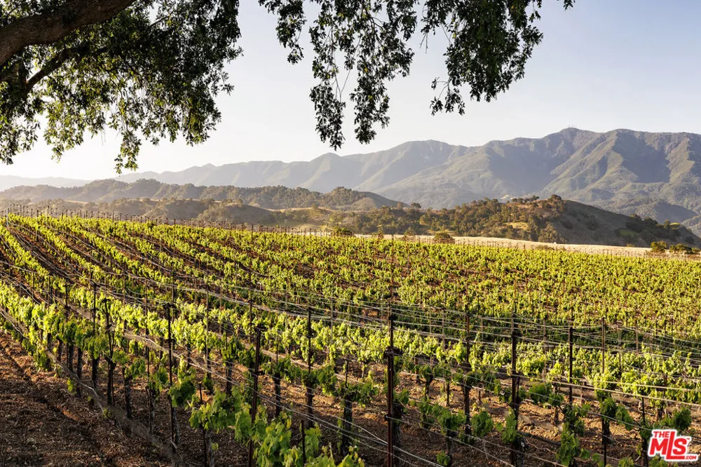 1620 Westerly Road Santa Ynez, CA 93460