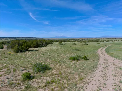 Carlson Road
