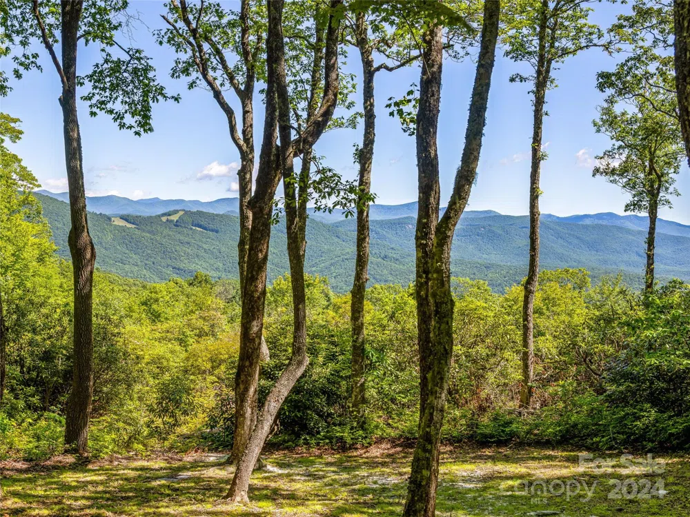 PS 3 Panther Summit Drive Lake Toxaway, NC 28747