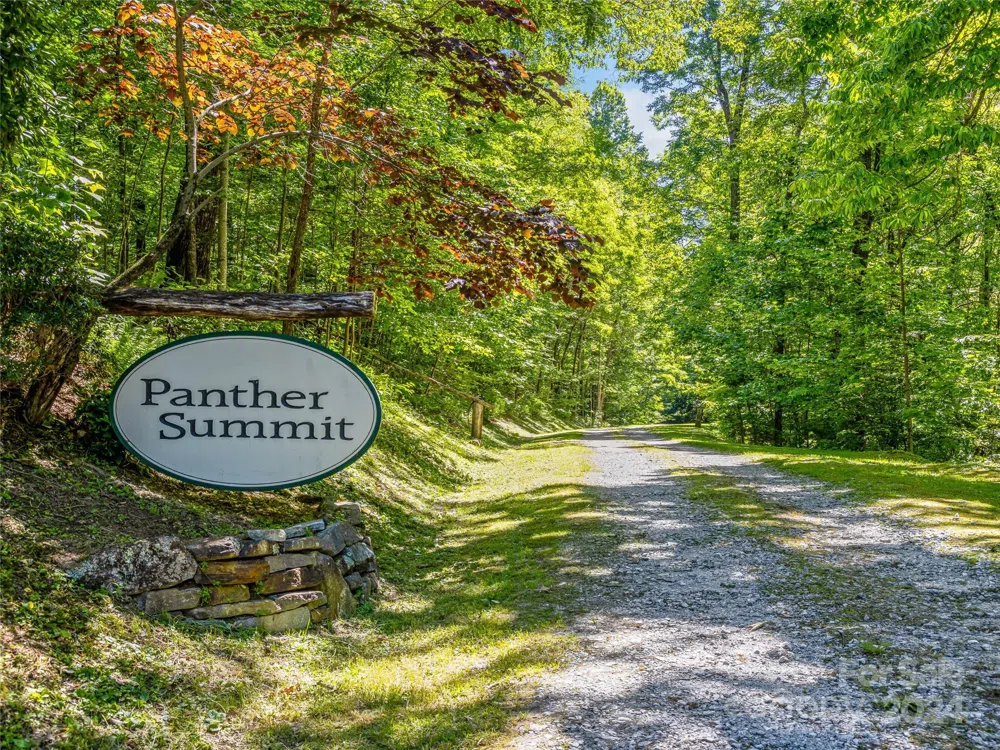 PS 3 Panther Summit Drive Lake Toxaway, NC 28747