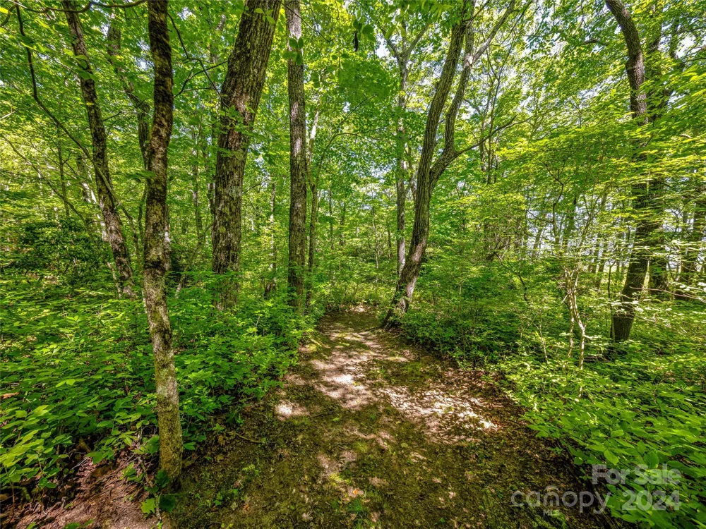 PS 3 Panther Summit Drive Lake Toxaway, NC 28747
