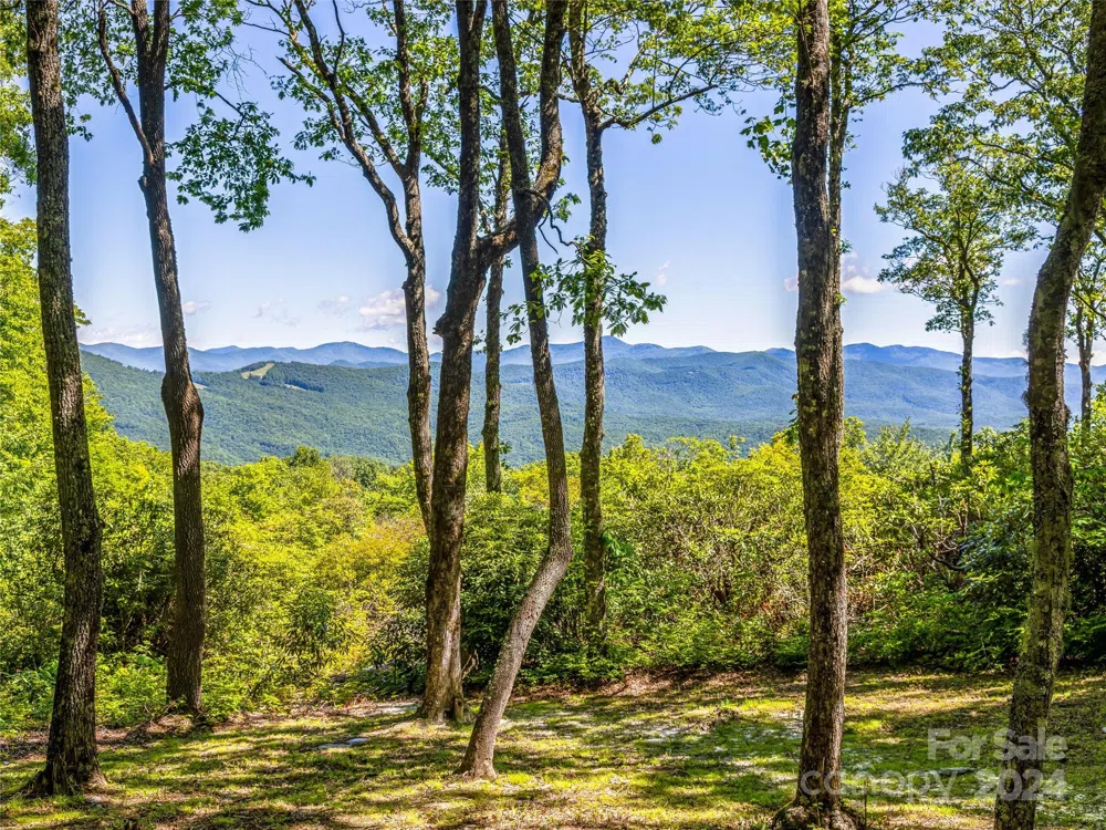 PS 3 Panther Summit Drive Lake Toxaway, NC 28747
