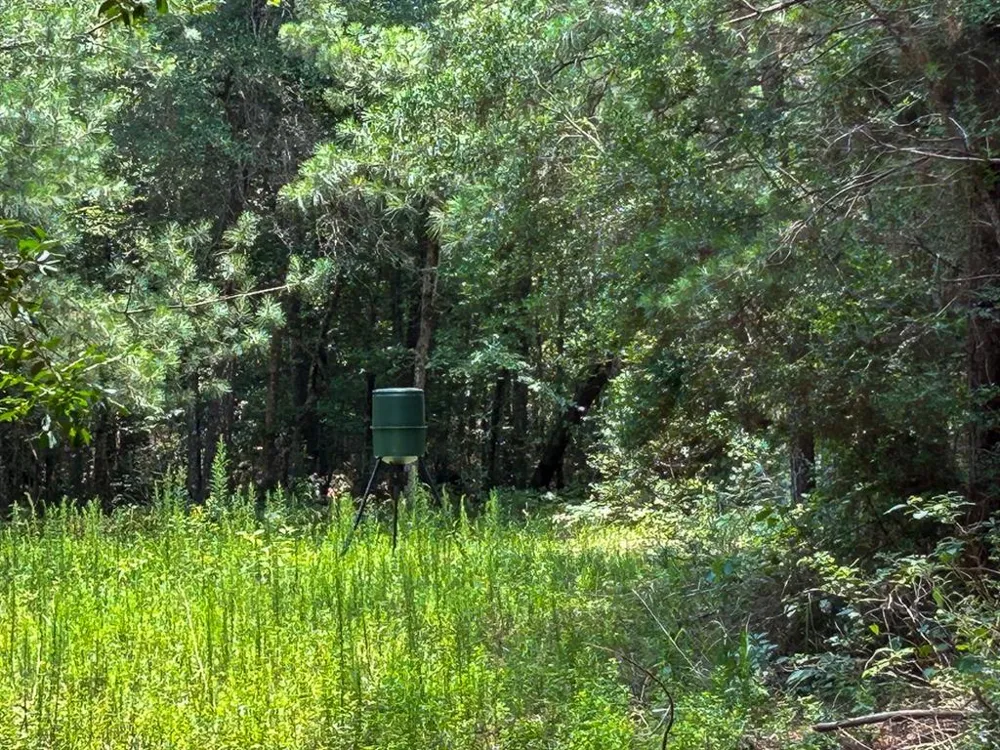 County Line Road Livingston, TX 77351