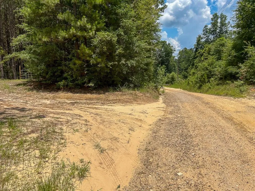 County Line Road Livingston, TX 77351