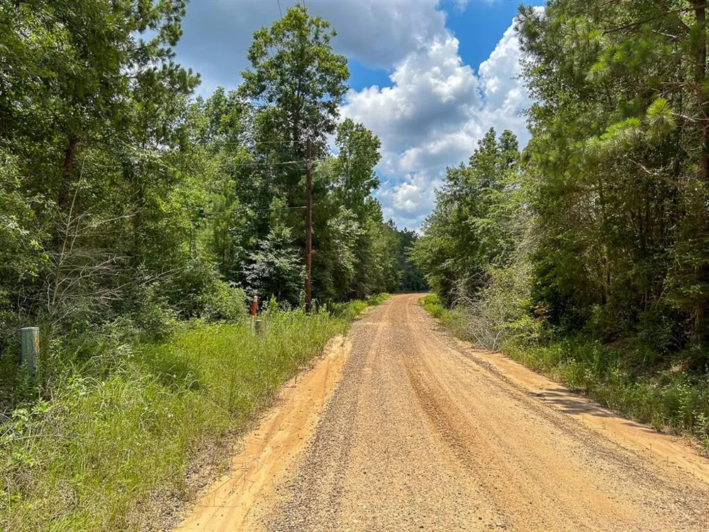 County Line Road Livingston, TX 77351