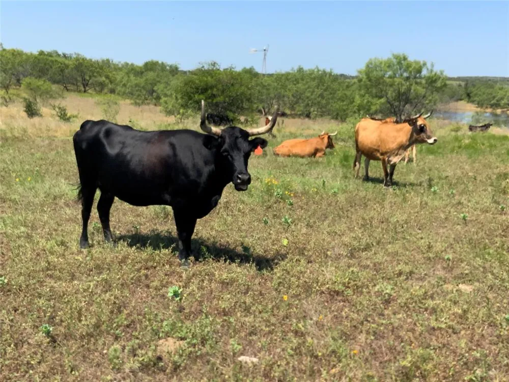 4801 Fm-1702 Gustine, TX 76455