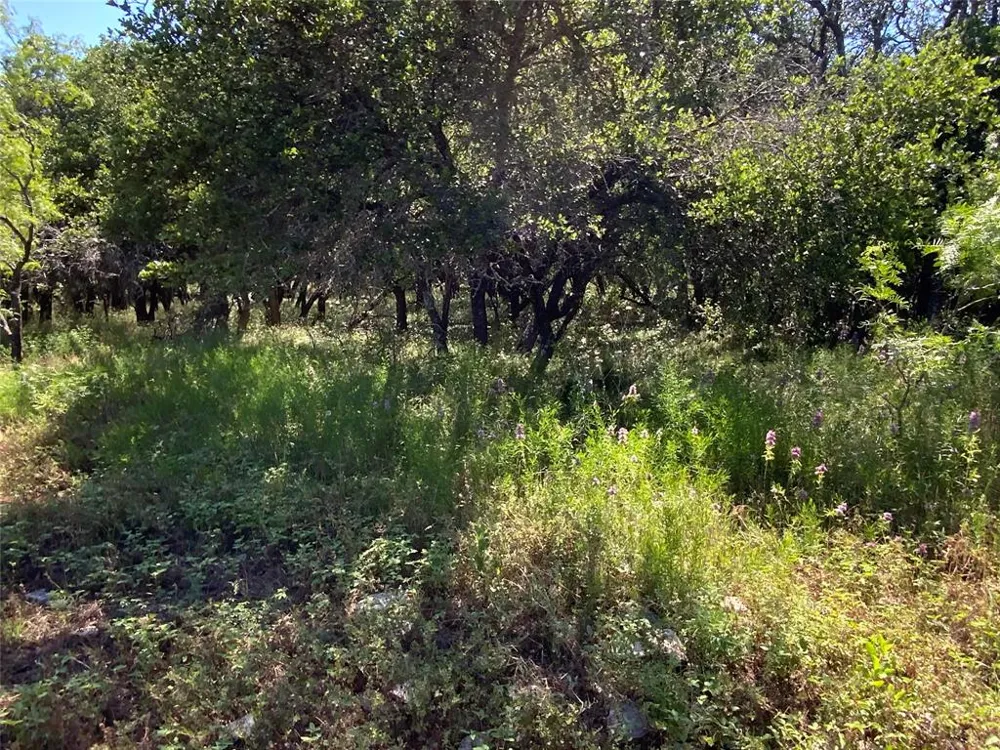 4801 Fm-1702 Gustine, TX 76455
