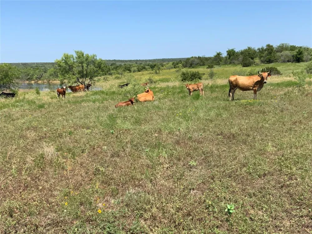 4801 Fm-1702 Gustine, TX 76455
