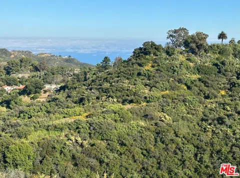 Fir Ridge Drive
