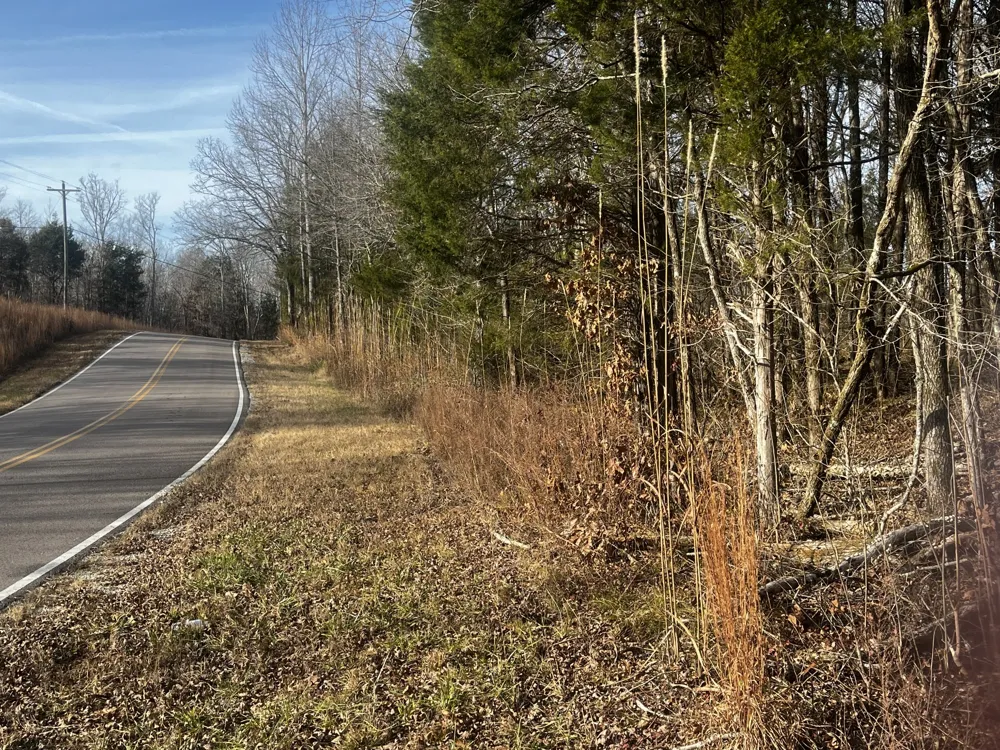 1 Old State Hwy 69 Sugar Tree, TN 38380