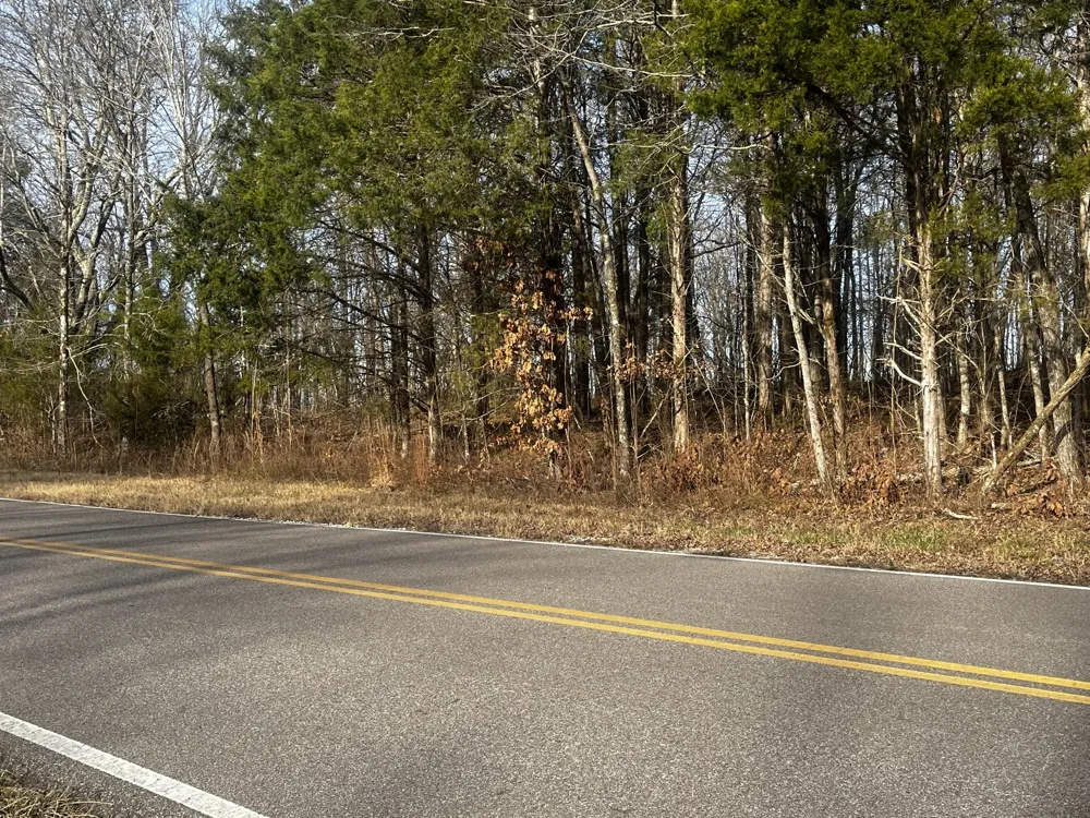 1 Old State Hwy 69 Sugar Tree, TN 38380