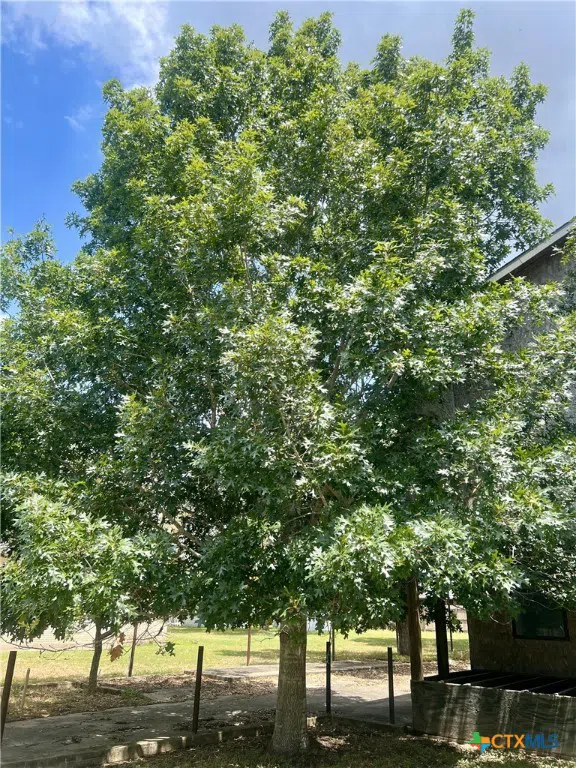 1902 MCLEOD STREET Cuero, TX 77954