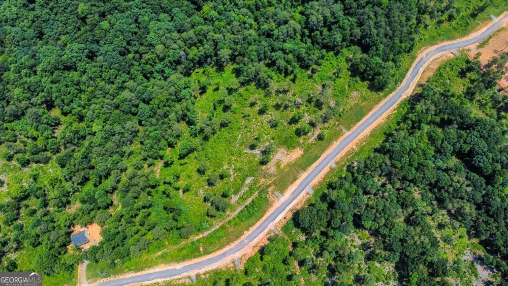 LOT 196 Oak Park DR Talking Rock, GA 30175