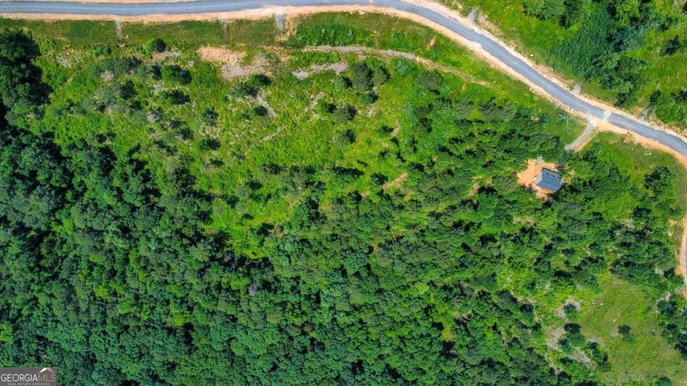 LOT 196 Oak Park DR Talking Rock, GA 30175