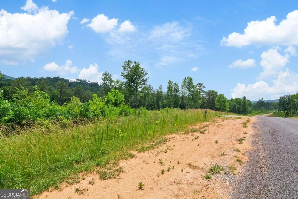 LOT 196 Oak Park DR Talking Rock, GA 30175