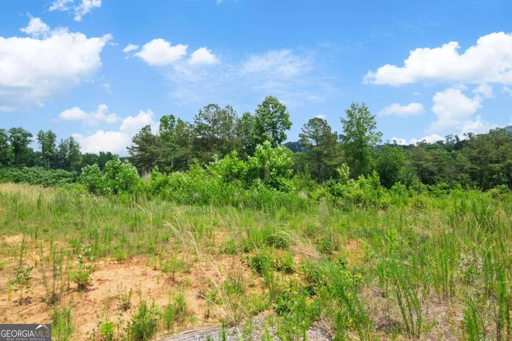 LOT 196 Oak Park DR Talking Rock, GA 30175