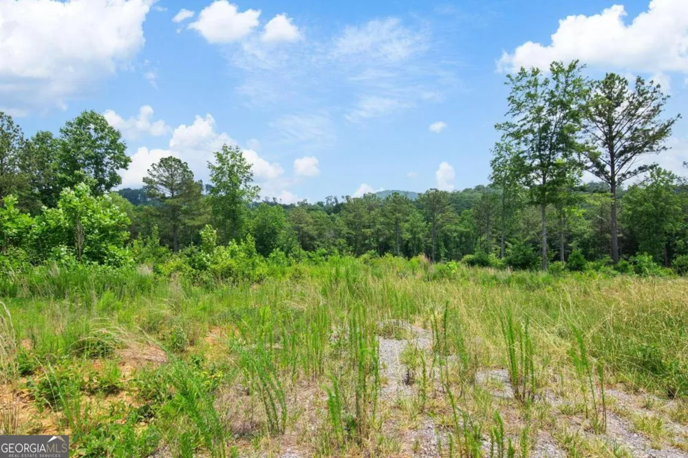 LOT 196 Oak Park DR Talking Rock, GA 30175
