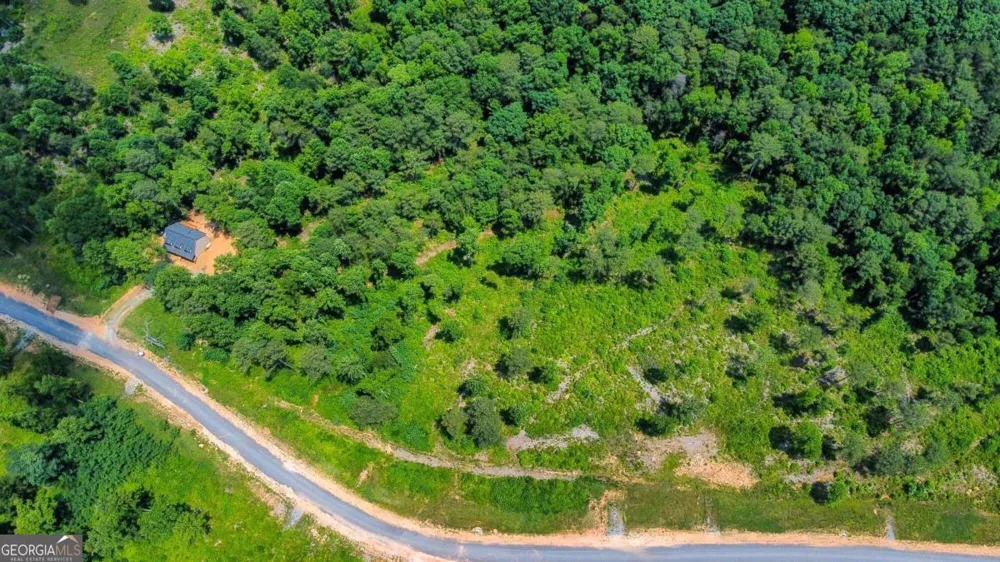 LOT 196 Oak Park DR Talking Rock, GA 30175