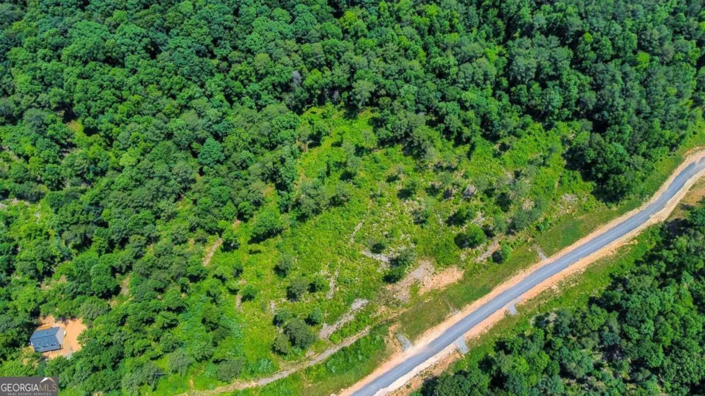 LOT 196 Oak Park DR Talking Rock, GA 30175
