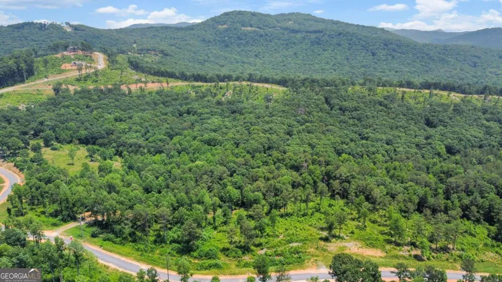 LOT 196 Oak Park DR Talking Rock, GA 30175