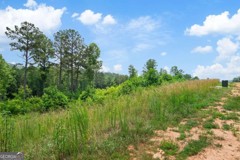 LOT 196 Oak Park DR Talking Rock, GA 30175