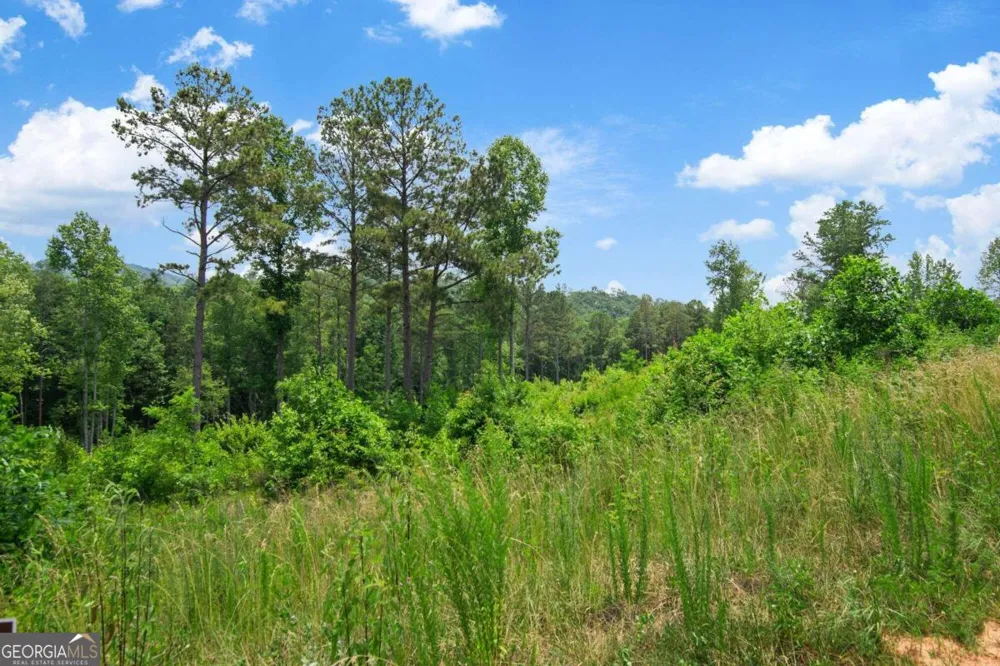 LOT 196 Oak Park DR Talking Rock, GA 30175