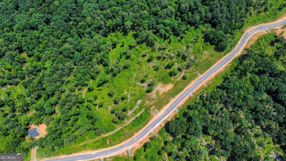 LOT 196 Oak Park DR Talking Rock, GA 30175