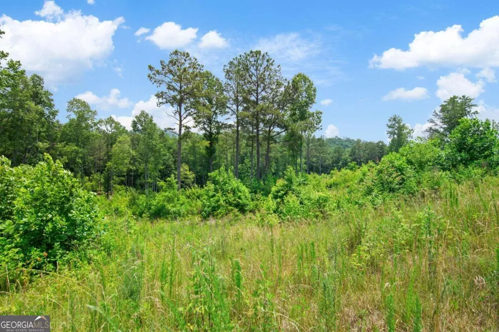 LOT 196 Oak Park DR Talking Rock, GA 30175