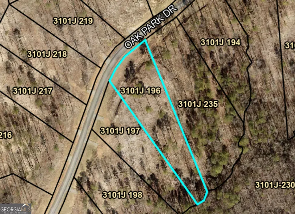 LOT 196 Oak Park DR Talking Rock, GA 30175