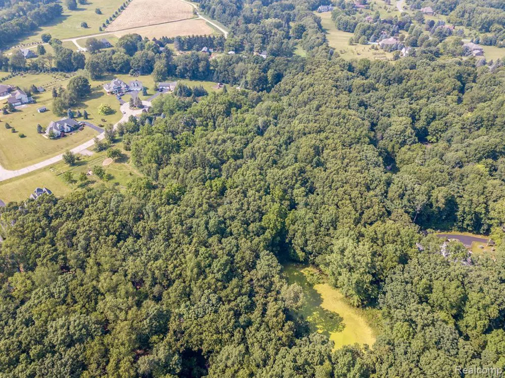 8045 TRAIL Ridge Webster Township, MI 48130