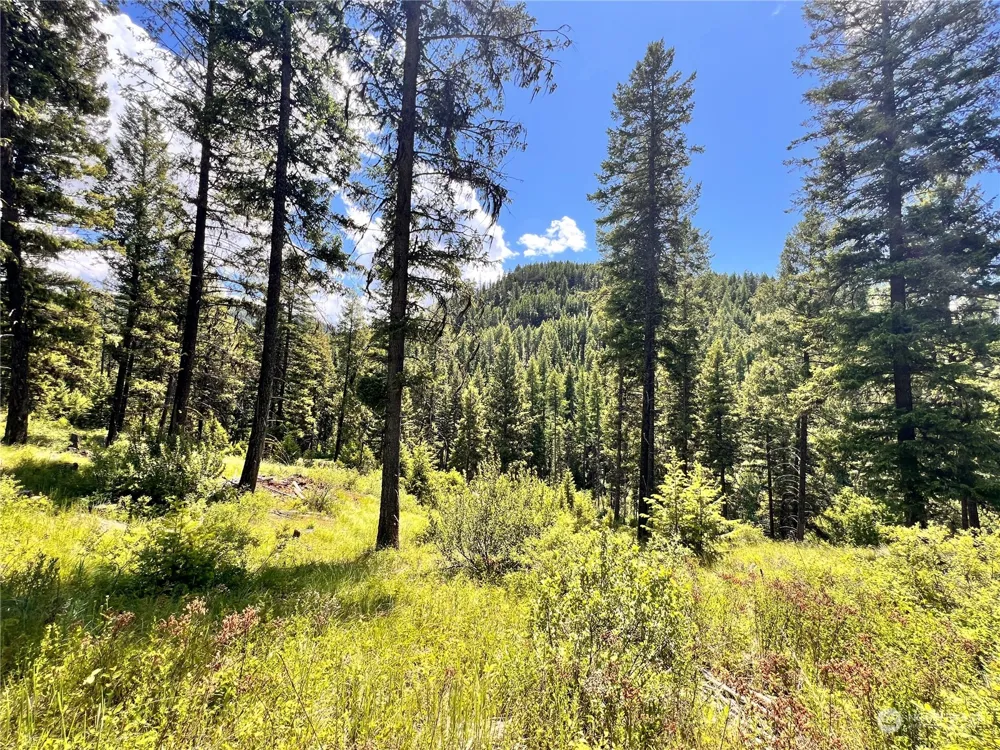 0 TBD Old Kettle Falls Road Republic, WA 99166