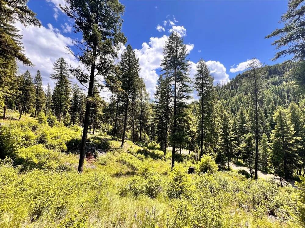 0 TBD Old Kettle Falls Road Republic, WA 99166