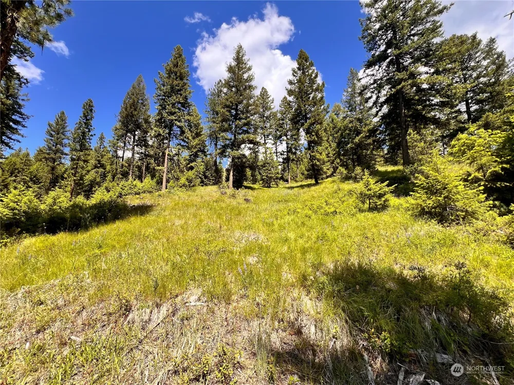 0 TBD Old Kettle Falls Road Republic, WA 99166